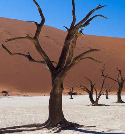 Nambia desert Credit: John Adams/Flickr/Creative Commons