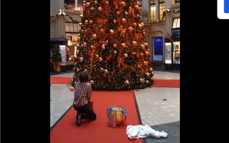 'Last Generation' climate change activist spraying orange paint paint on a Christmas tree in Germany as part of their climate change protest